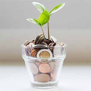Coins and a small plant in a glass