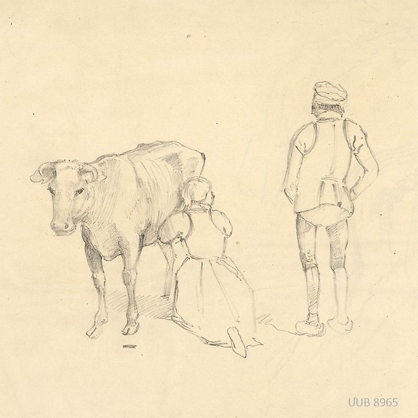 En kvinna mjölkar en ko och en man står och tittar på. UUB 8965.