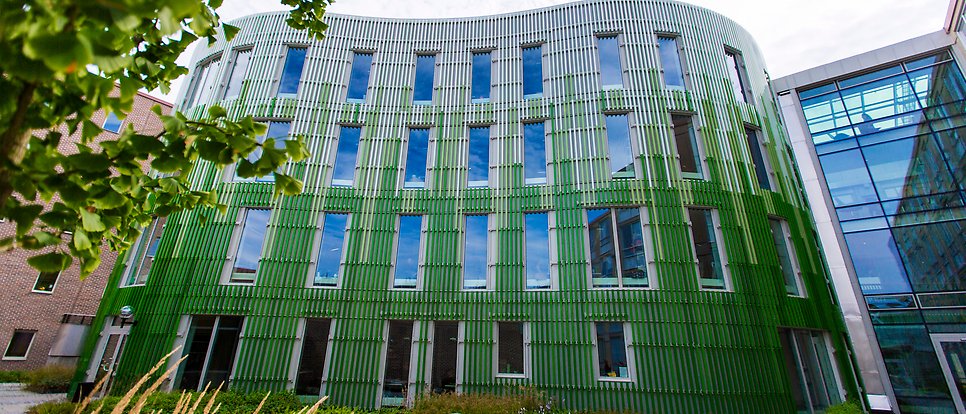 Scilifelab wei grön fasad och löv i förgrunden. 