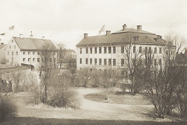 Svartvitt foto på kala träd och buskar på Riddartorget med Skytteanum och Oxenstiernska huset i bakgrunden