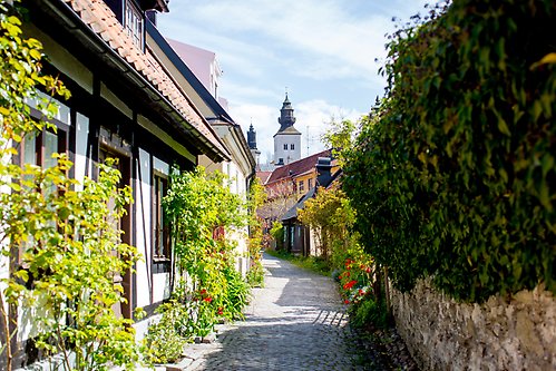 A cobble stone street in Visby on a sunny day.
