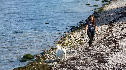 Student walking by the sea shore with a dog on a leash.