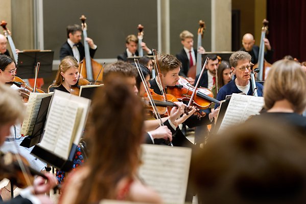 Members of a finely dressed orchestra sit in front of music stands and play various types of stringed instruments