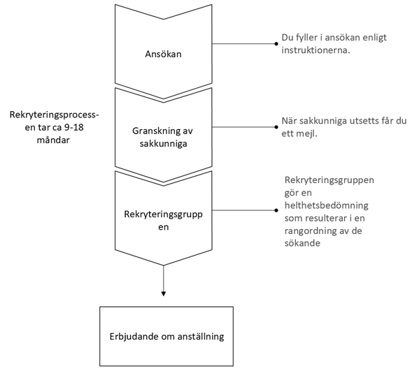 Bild som beskriver rekryteringsprocessen i steg. 