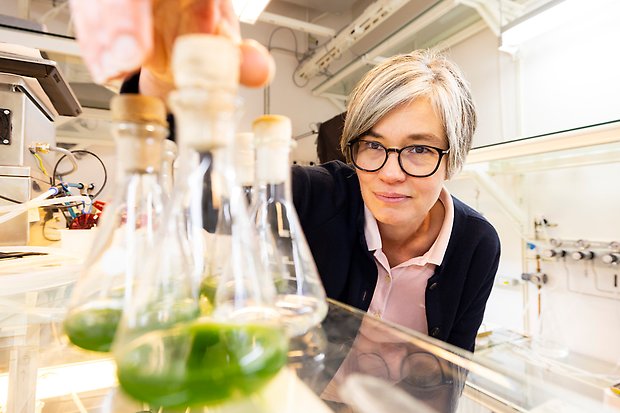 Pia Lindberg i labbet
