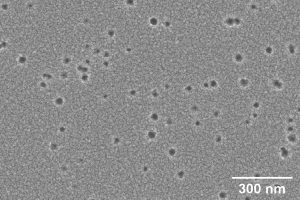 Svepelektronmikroskopisk bild av ett polyimidprov. Mörka fläckar visar öppningar som orsakats av en jonstråle. Skalan anger 300 nm.