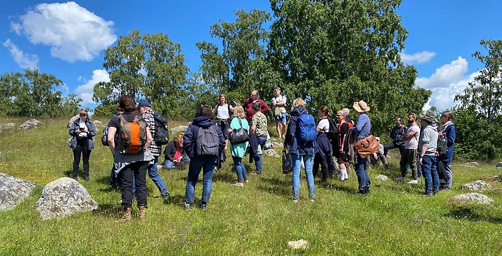 Utflykt till Birka. Människor med ryggsäckar på grön kulle, träd i bakgrunden