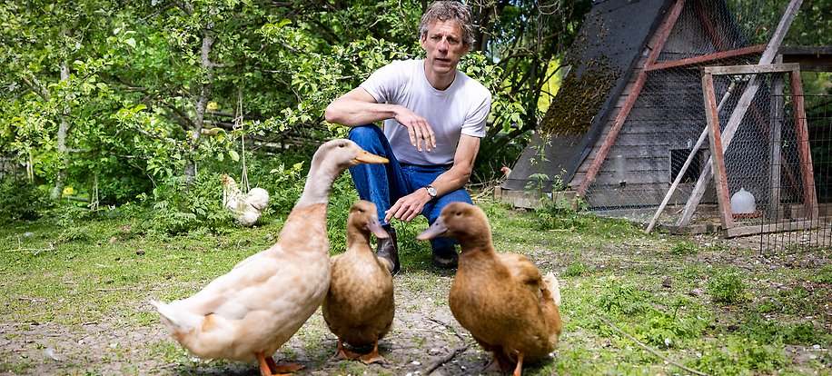 Wijnand in front of a henhouse. Three brown ducks can be seen in the foreground