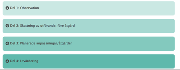 The online P4C observational and goal setting tool
