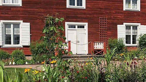 Den faluröda träfasaden på huvudbyggnaden på Linnés Hammarby med en sensommarblommande rabatt i förgrunden.