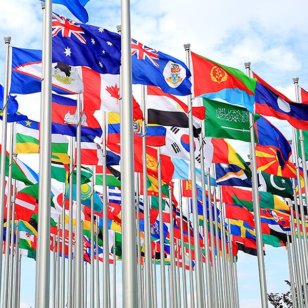  Olika länders flaggor på flaggstänger.