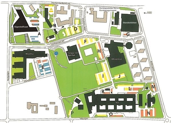 Karta över parkeringsplatser runt om Blåsenhus Campus. / Map of parking spaces around Blåsenhus Campus.