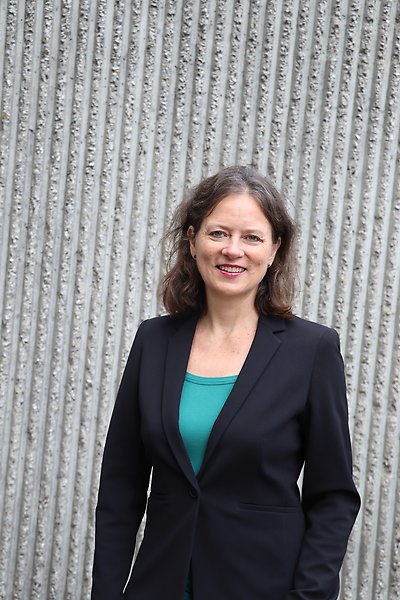 Hugo Valentin