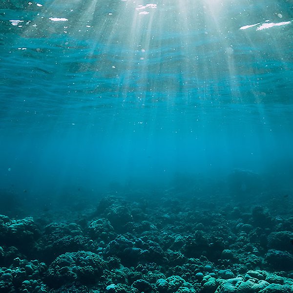 Havsbotten med koraller och stenar och solljus som skiner ner genom havsytan.