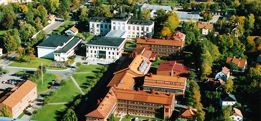 EBC as seen from above