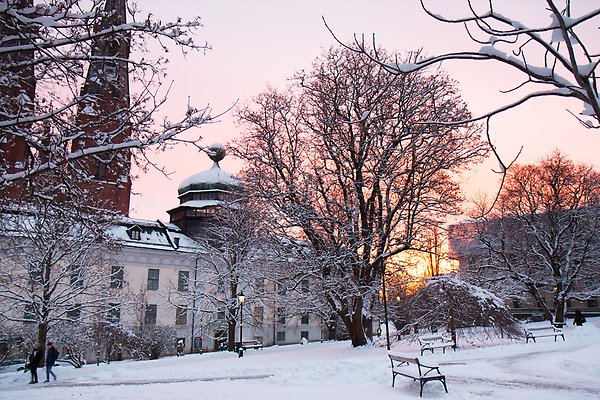 Pink wintery sky behind Gustavianum and University Main building.