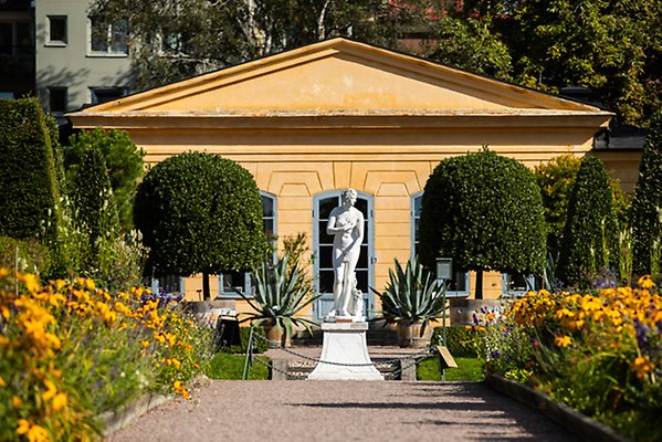 Exteriör från Linneträdgården med en staty och dammen i förgrunden.