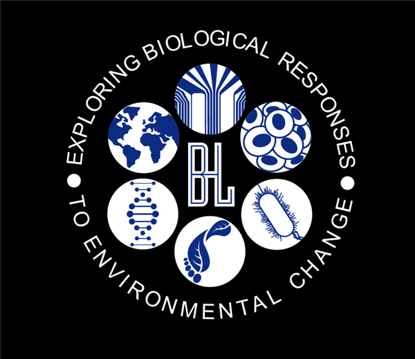 BL logo